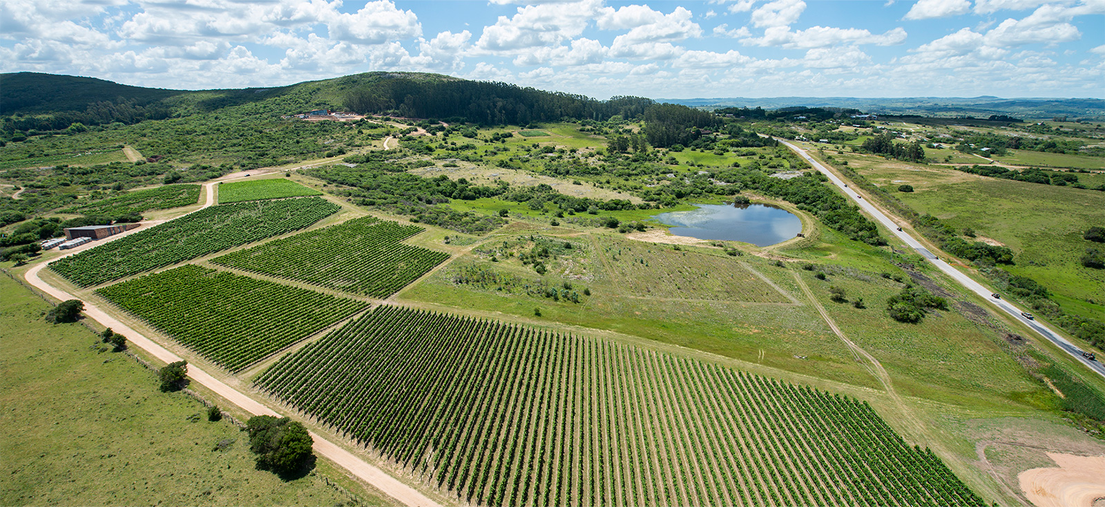 For Sale 5 Hectare plots in Viña Edén Private Vineyards Lots & Villas
