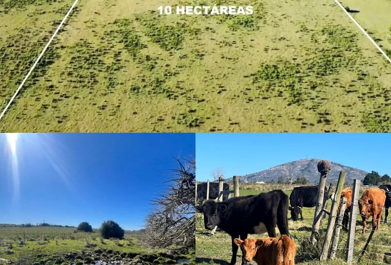 Great Opportunity! 10 Hectare Farm in Tourist Area 10 Minutes from Piriápolis Beach.    USD 170.000